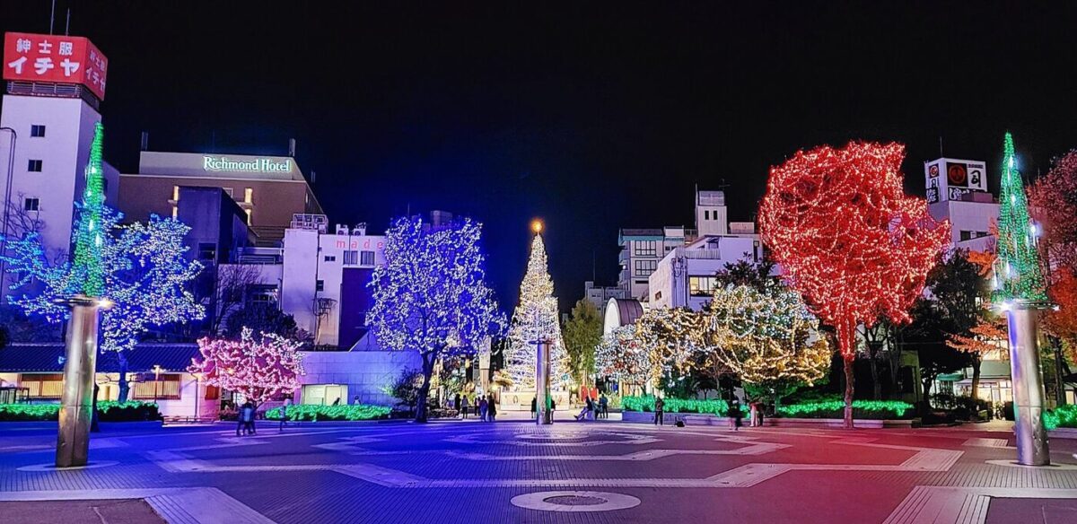 イルミネーションフェスタ2025|11月28日(金)〜2026年1月12日(月・祝)東洋電化中央公園で開催!高知の冬を彩る光の祭典✨